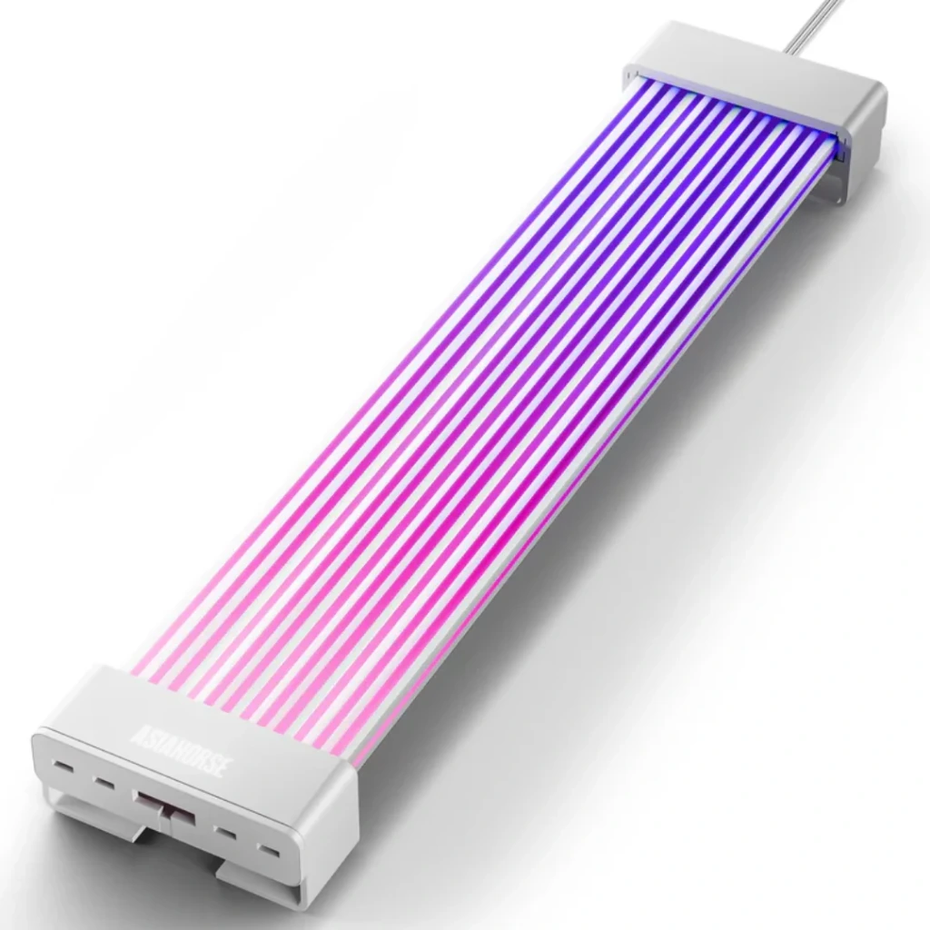 ASIAHORSE AURORA LEARN 3*8-pin White